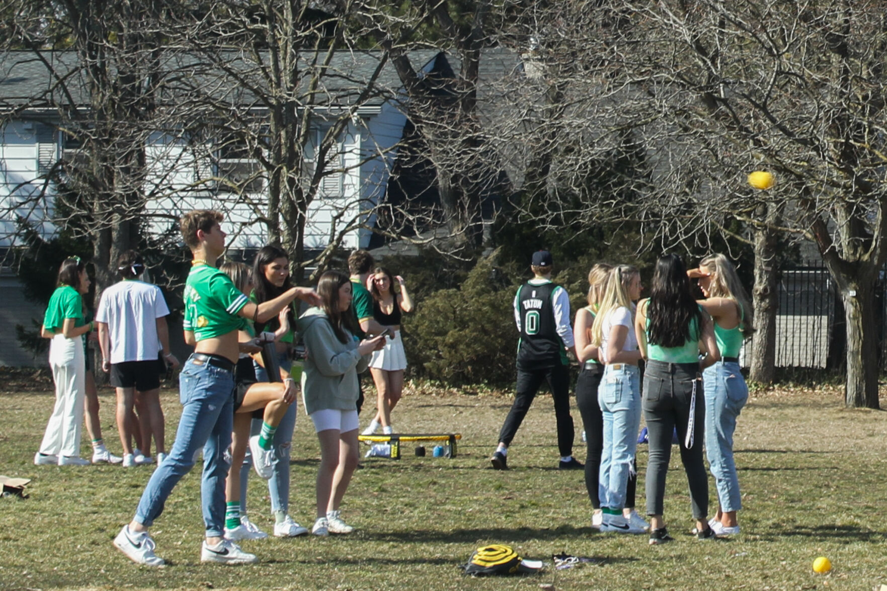 St. Patricks Day (3)